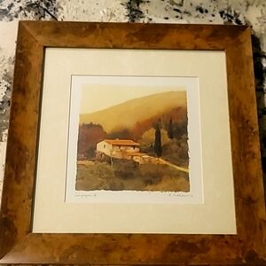 🫠"Framed Art Print" Campagna IV by Amy